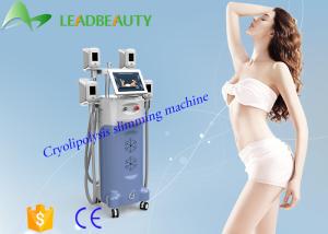 China New!!! cryolipolysi slimming machine/freeze fat/cryotherapy cavitation slimming machine factory