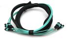 100G 72 Fiber OM3 MTP Patch Cord Aqua Cable