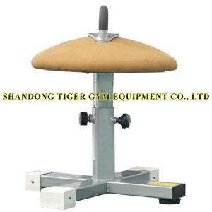 China Gymnastics Equipment Gymnastics Single Ring Mushrooms Trainer factory