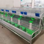 Industrial Rabbit Breeding Cage Automatic Equipment Mother Baby Rabbit Poultry