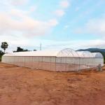 Seedbed Table Galvanized Steel Frame PE Plastic Film Large Conneted Tunnel