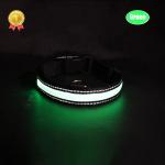 C916 Waterproof High Bright USB Rechargeable Glowing LED Pet Dog Collar For