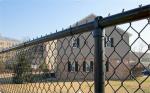 Green Vinyl Coated Chain Link Security Fence Excellent Rust Resistance