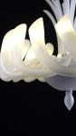 Europea Modern Chandelier Simple Home Living Room Bedroom Decorative Lighting