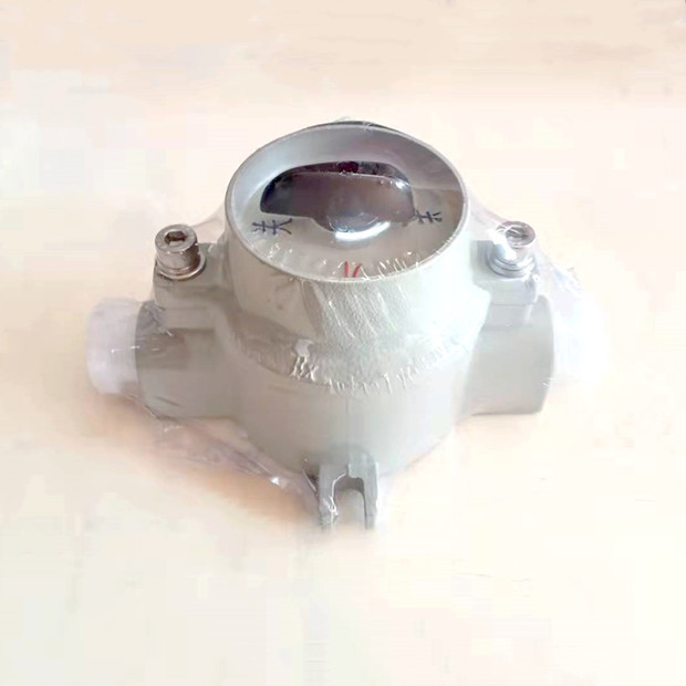 Lighting Explosion Proof Switch OFF ON 220V 380V