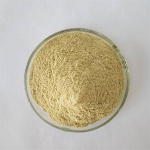 China GMP Factory Detoxification Mung Bean Sprout Extract factory