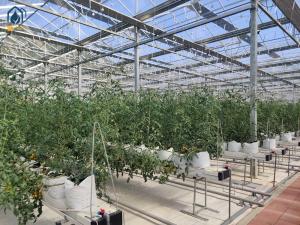 China Greenhouse Steel Substrate Planting Gutter Agricultural Hydroponic System For Tomatoes factory