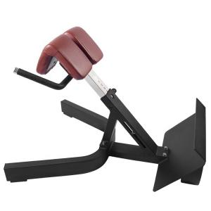 China Gym Equipment Roman Chair Abdominals Back Strength Training Adjustable Back Extension Bench factory