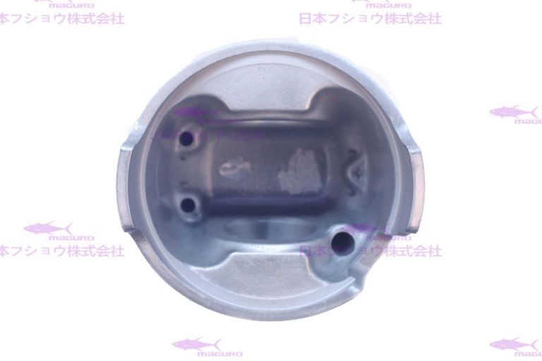 Engine Parts Piston KIA 109