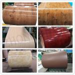 Prepainted Galvanised Steel All RAL Colors PPGI PPGL Steel Coils with ISO9001