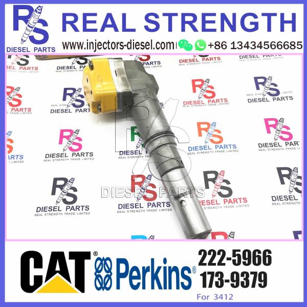 10R-9000 229-8842 0R-9348 222-5966 Common Rail Injector 3126