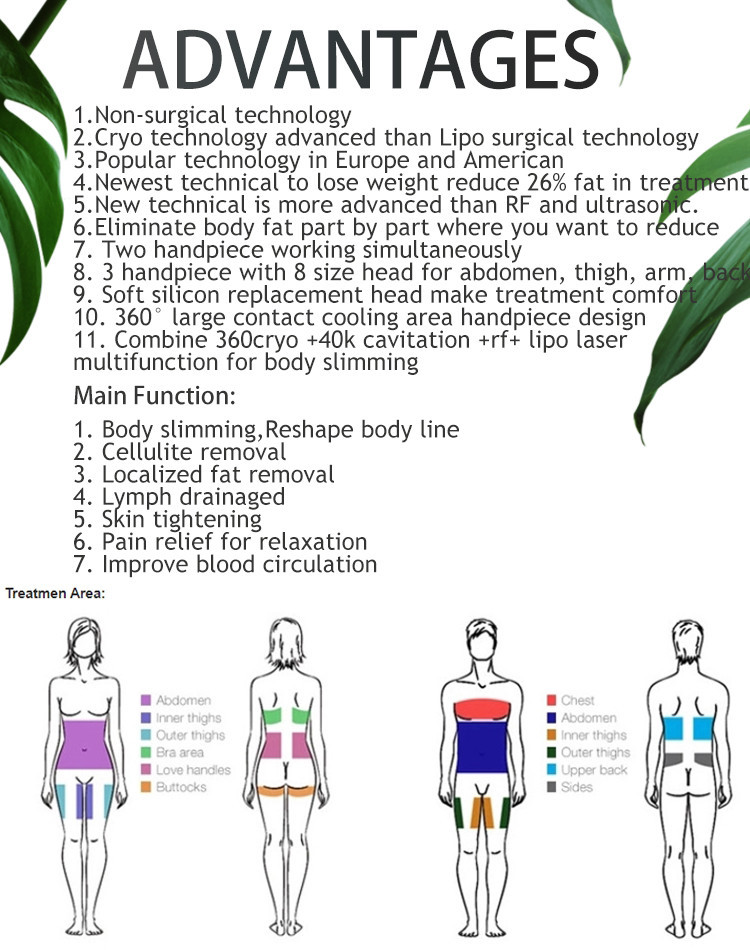 2021 Portable cryo 360 Degree Cryolipolysis Machine Cryo therapy cavitation rf Lipo laser cryo 3 handles with double ch