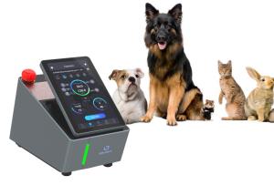 China 200mW Veterinary Laser Therapy Machine Neuromuscular Disease Treatment factory