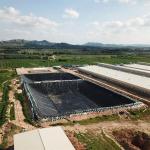Glossy HDPE Pond Liner Geomembrane 0.75mm 1.0mm for Fish Farming in Industrial