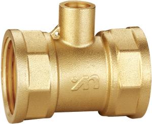 China 3002 Straight Way Female x Female Threaded Brass Fitting with M10 x 1 Outlet for Meter Connection factory