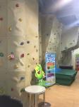 Adjustable Plastic Playground Rock Wall 12m Height Eco Friendly