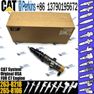 China Cat injectors c7 injector 387-9427 263-8216 263-8218 for caterpillar engine c7 diesel spare part on sale