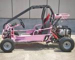 Foot Brake Operation Go Kart Buggy 4 Stroke CTV Electric Start Automatic With
