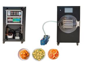 China Mini Stayfresh Freeze Dryer Electric Heating PLC Controlled factory