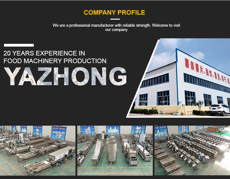 Continuous Cocoa Bean Roaster Machine Hazelnut Almond Peanut Roasting Production Line
