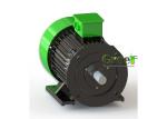 Steel Brushless 3 Phase Permanent Magnet Alternator