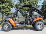 Forest Road / Riverbed 2 Seater Adult Go Kart Buggy With Front And Rear Disc