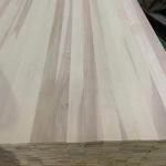 18mm Poplar Solid Wood Board for Custom Design Panels 100-1220mm Width Populus