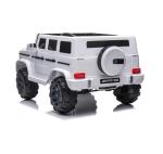 Direct Authorized 12V Electric Children's Ride On Car with Early Education