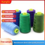 High Tenacity Sewing Thread tkt 120 100% Spun Polyester 40s/2 For Sewing Machine