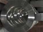 Alloy 825 spacer ring