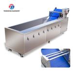 Watercress Bubble Generating Vegetable Fruit Cleaning Machine , Apricot