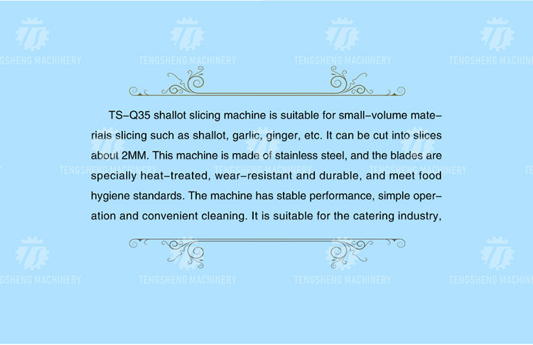 Multifunction Onion Slicer Vegetable Cutting Machine 100KG/H Capacity