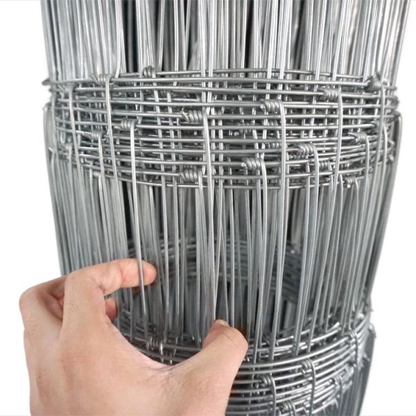 Sustainable Galvanized Iron Woven Hinge Joint Knot Farm Fencing for All