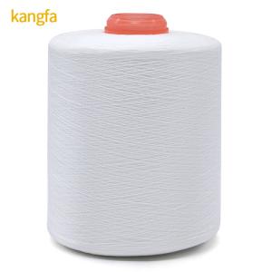 China White 150D/3 1.6kg High Tenacity Polyester Yarn Suitable for Various Applications factory