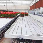 Aluminum Alloy Galvanized Steel Frame Greenhouse Rolling Tables Total Length＞ 7