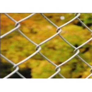 PVC Coating Twisted Barb 3 feets Diamond Wire Mesh Fence