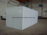 Customized Request Cold Room Storage Direct Cooling Refrigerational Freezer and