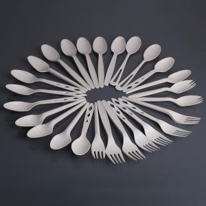 China Plastic Disposable Biodegradable Pla Spoon factory