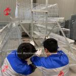 Galvanized A Type 3 Tier Or 4 Tier Chicken Poultry Layer Battery Cage For 45,000