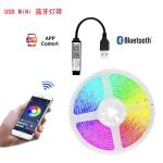 24keys Blueteeth Control 5m RGB Strip Light Set Light Strings For Country