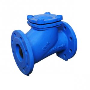 China 316 Ss Check Valve Stainless Steel Ball Check Valve Back Pressure Retention Swing Type factory