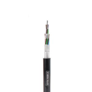 China APL 9mm 12 Core G652D Fiber Optic Cable For Communication factory