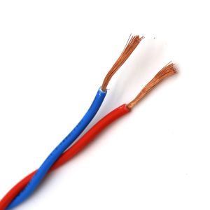 China Stranded Copper 2 Core Wire Cable 0.5mm-6mm Twisted Pair RVS Electrial Wire Cable on sale
