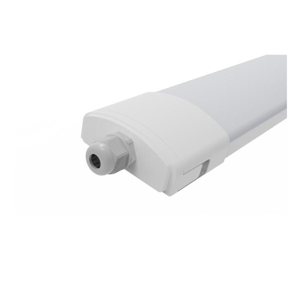 China DUALRAYS 600mm 20 Watt IP65 LED Triproof Light With Suspending Surface Mounted factory