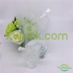 Stand Up Storage Packing Bags Clear Energy Drink Packaging Plastic Water