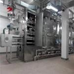 Mango Drying Equipment 400kg/H Industrial Conveyor Belt Dryer