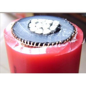 Extruded XLPE Insulation MV Power Cable 1 Core / 3 Core IEC60502-2 6-30KV