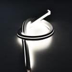 Width 20mm Dimmable LED Strip Smd2835 6000K Neon Silicone Tube