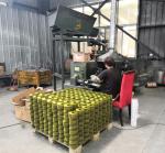 2" 50mm Wooden Pallet Coil Nails 15 Degree Galvanized Steel for Construction