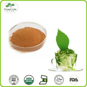 China Organic Natural Green Tea Extract 98% Tea Polyphenol factory